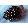 QZ6612 FRUITY