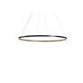 WM2141 OMEGA CIRCLE
