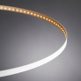 WM2141 OMEGA CIRCLE