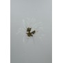 AM89049 EMMY CHANDELIER