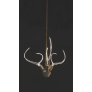 IQ8137 ANTLER'S HORN