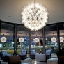 JK049 TARAXACUM CHANDELIER 