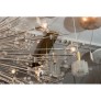 QZ6631 STARBURST