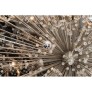 QZ6631 STARBURST