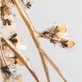 MV3022 BLOOM VIVANT