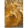 MV3025 MOTHER PEARL