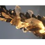 AM1112 Meteor Line of Fire
