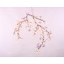 AM1330 BLOSSOM