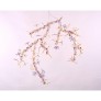 AM1330 BLOSSOM