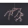 AM1330 BLOSSOM