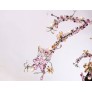 AM1330 BLOSSOM