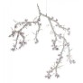 AM1330 BLOSSOM