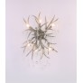 AM2111 DEER TEAR