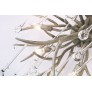 AM2111 DEER TEAR