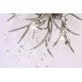 AM2111 DEER TEAR