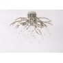 AM2111 DEER TEAR