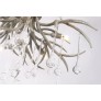 AM2111 DEER TEAR