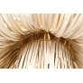 AM80723 URCHIN