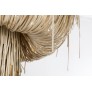 AM80723 URCHIN