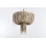 AM80723 URCHIN
