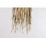 AM80723 URCHIN