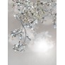 AM8850 EDEN CROWN