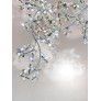 AM8850 EDEN CROWN