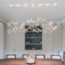 AM8850 EDEN CROWN