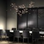 AM8850 EDEN CROWN