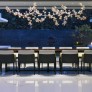 AM8850 EDEN CROWN