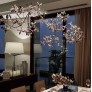 AM8850 EDEN CROWN