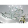 AM8851 EDEN CROWN CIRCULAR BRANCH