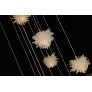 AM98003 LATTEA ROCK