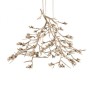DV5623 BLOOM VIVANT