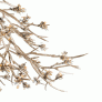 DV5623 BLOOM VIVANT