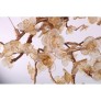 DV3953 ALMOND