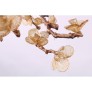 DV3953 ALMOND