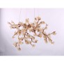DV3953 ALMOND