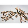 DV3953 ALMOND