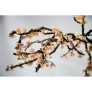 DV3953 ALMOND