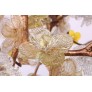DV3953 ALMOND