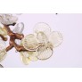 DV3953 ALMOND