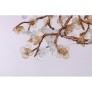 DV3953 ALMOND