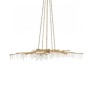 DV5089 Forest Light