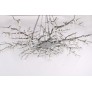 DV5089 Forest Light