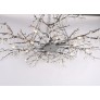 DV5089 Forest Light