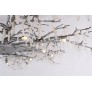 DV5089 Forest Light