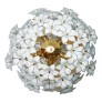 IQ2063 MONUMENTAL FLOWER