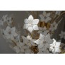 IQ2064 FLOWER BOUQUET I