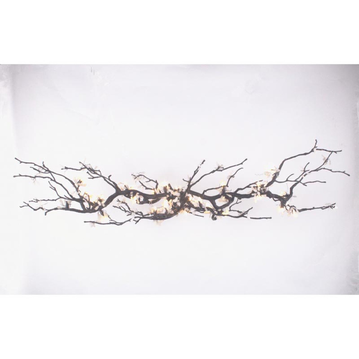 OR0761 BRANDOLINI II